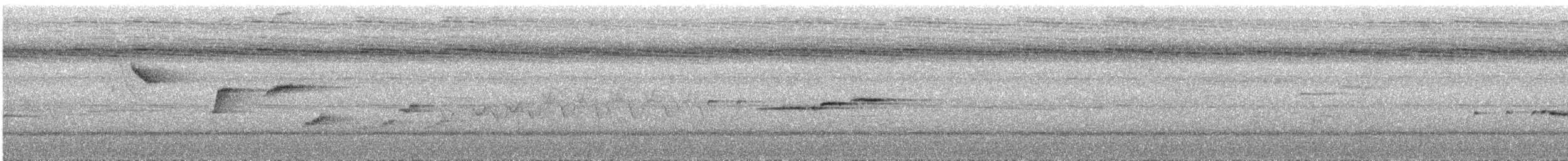 Rhipidure des Célèbes - ML644069534