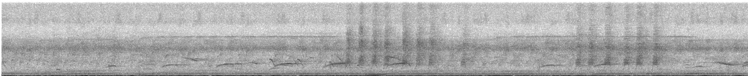 Dull-capped Attila - ML644069886