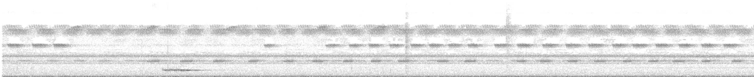 Petit-duc africain (senegalensis) - ML644070502