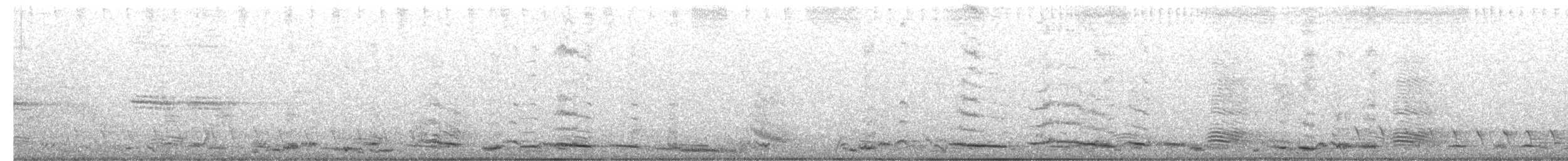 Australian Magpie - ML644072265