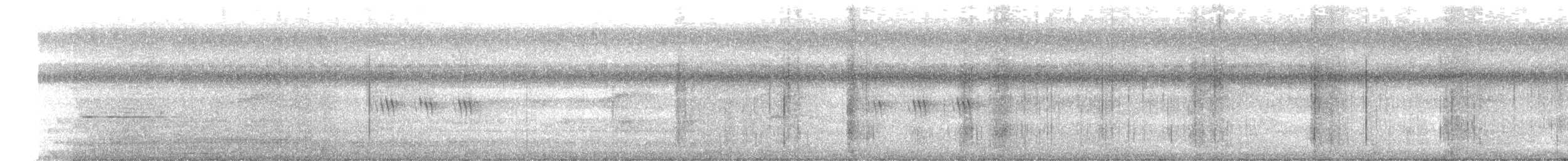 Témia vagabonde - ML644072281