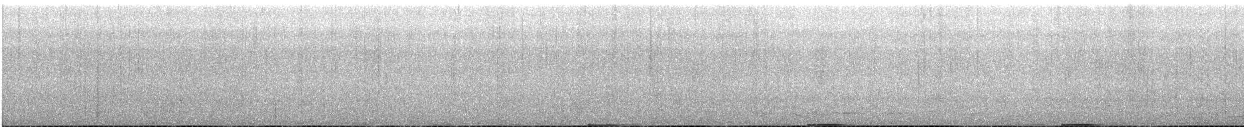 bukač australský - ML644072859