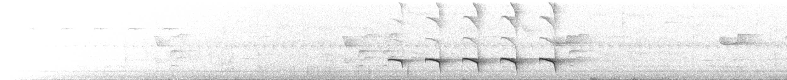 skifergloøye - ML644072869
