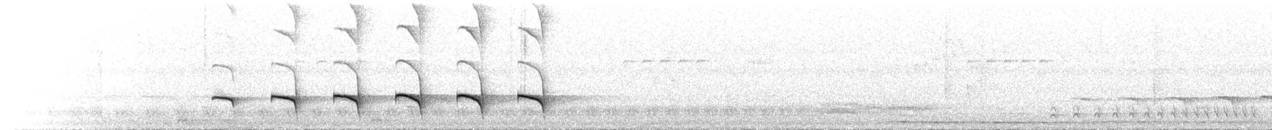 skifergloøye - ML644072871