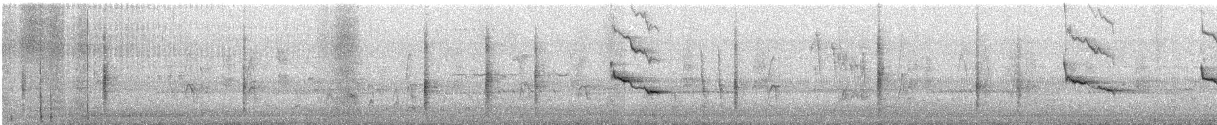 Red-winged Blackbird - ML644072962