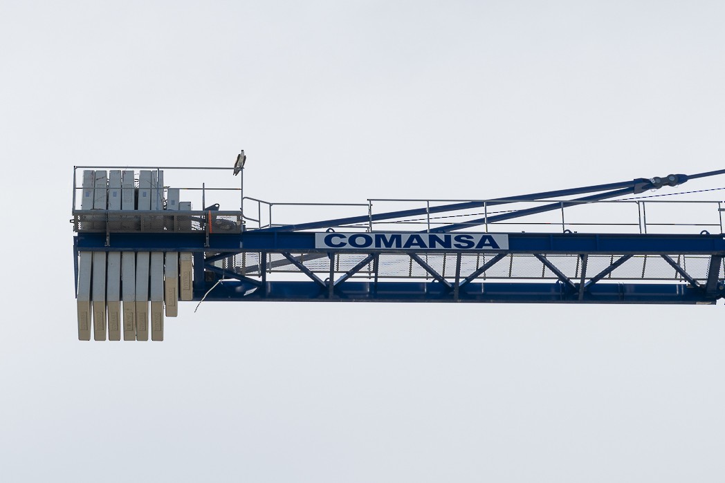 Скопа західна - ML644073288