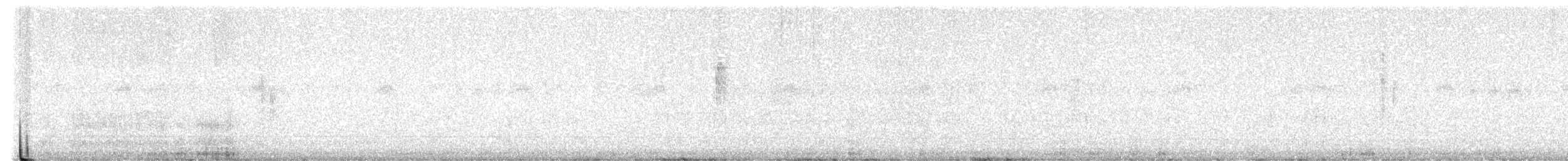 budníček severní/kamčatský - ML644073885