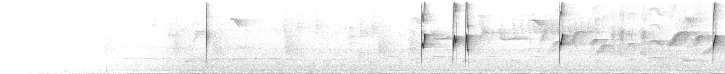gultøyletodityrann - ML644074044