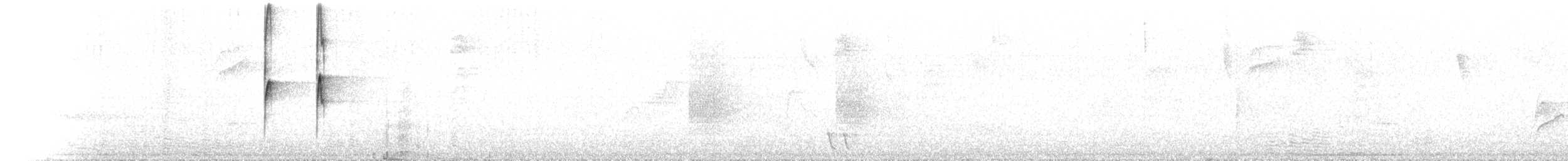 gultøyletodityrann - ML644074045