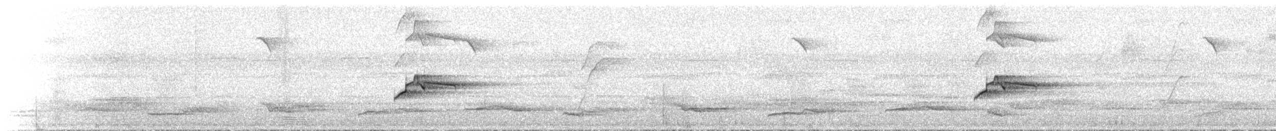 pirattyrann - ML644074063
