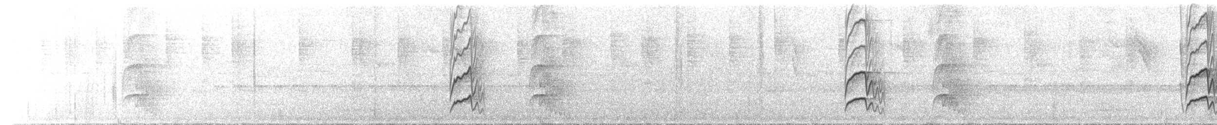 skjelltreløper - ML644074510