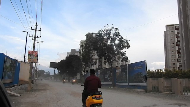 Wanderfalke - ML644074928