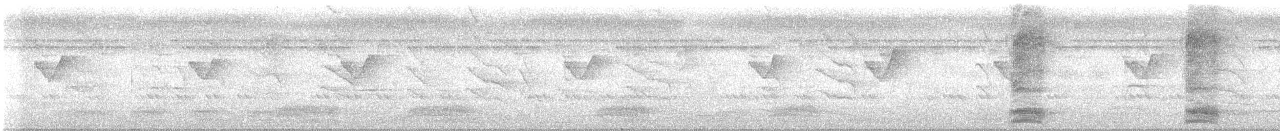 Yeşilimsi Çıvgın - ML644075603