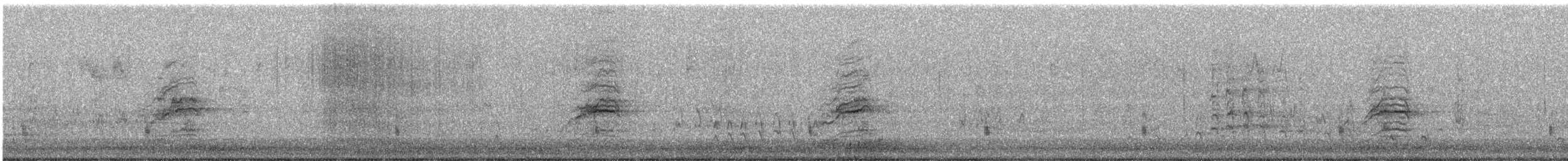 Hermit Thrush - ML644077590