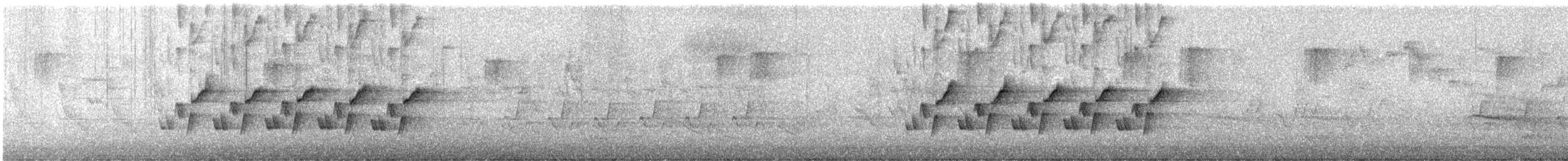 Carolina Wren - ML644077878