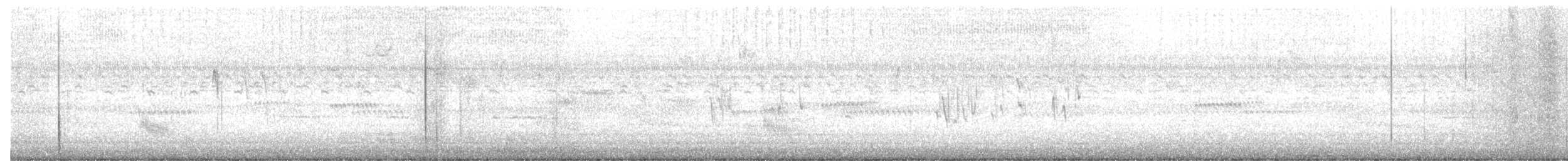 wren sp. - ML644078337