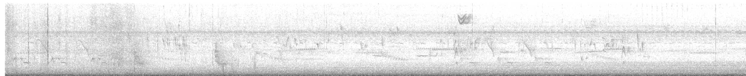 wren sp. - ML644078338