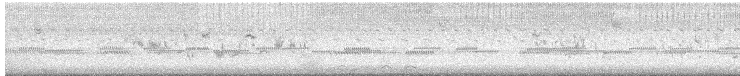 new world sparrow sp. - ML644078354