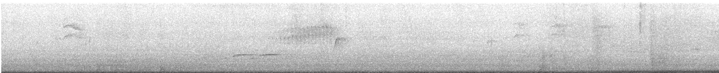 Northern Parula - ML644078591