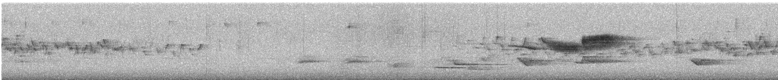 Black-throated Blue Warbler - ML644078698