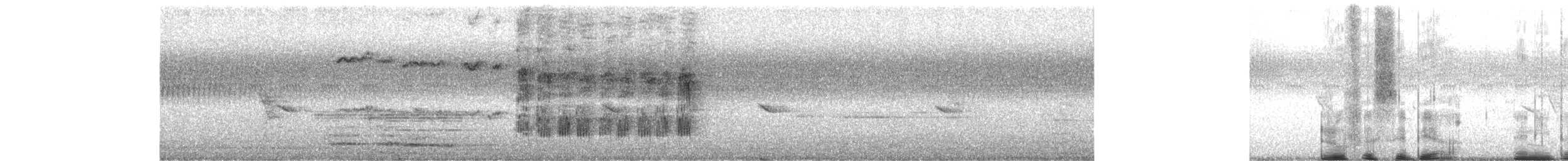 Rufous Sibia - ML644078749