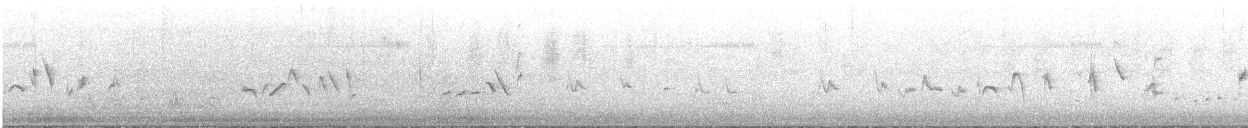 Silvereye - ML644078880