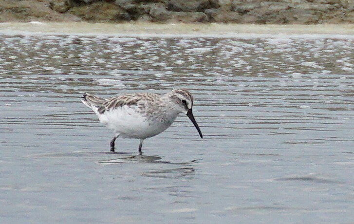 Грязовик - ML644079290