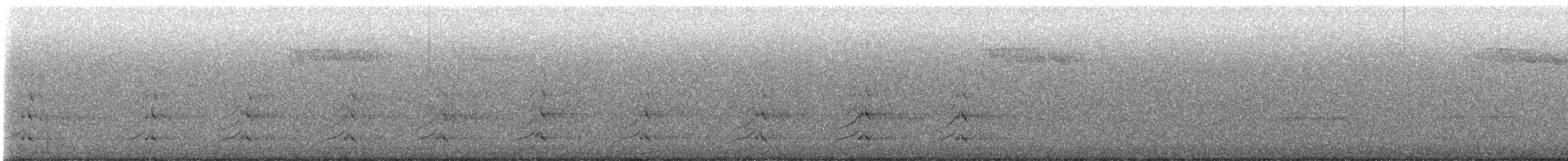 Brautente - ML644080033