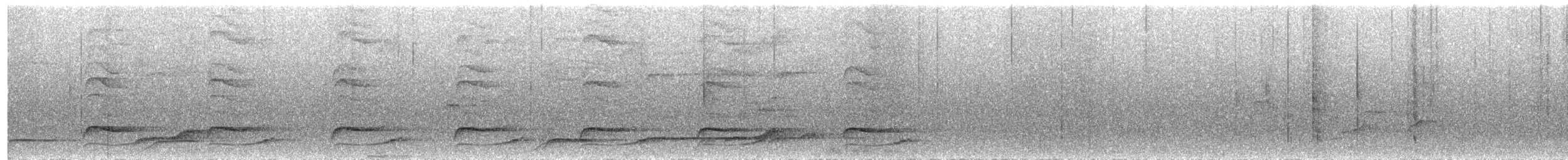 Spotted Laughingthrush - ML644080490