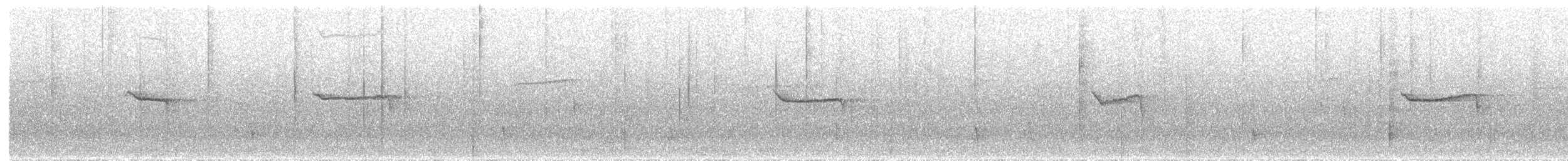 Lady Amherst's Pheasant - ML644080491