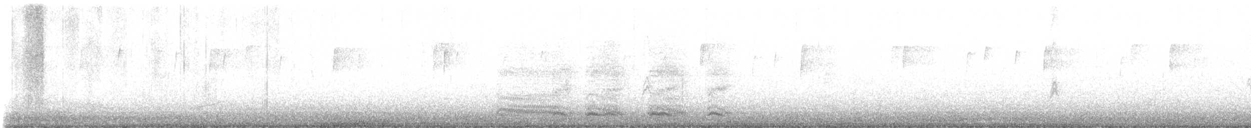 Corneille d'Amérique - ML644081166