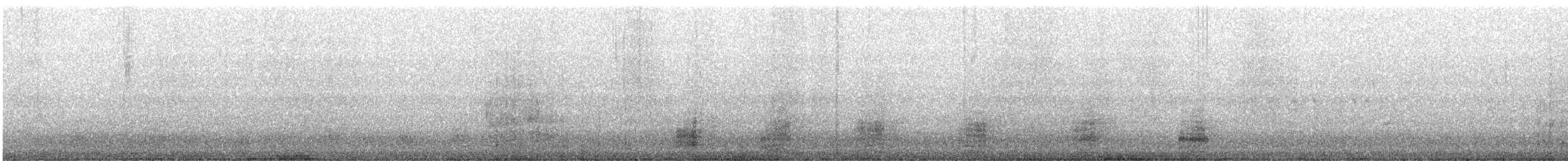 Ánade Sombrío - ML644081180