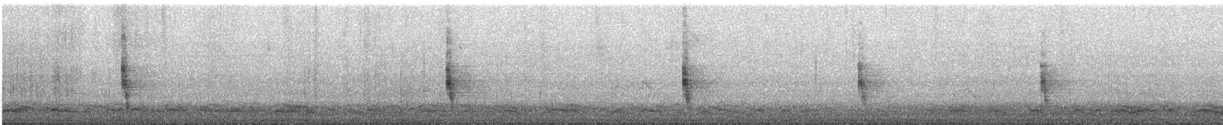 Northern Mockingbird - ML644082488