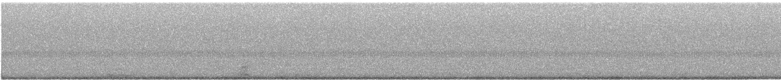 Koartza hauskara amerikarra - ML644083993