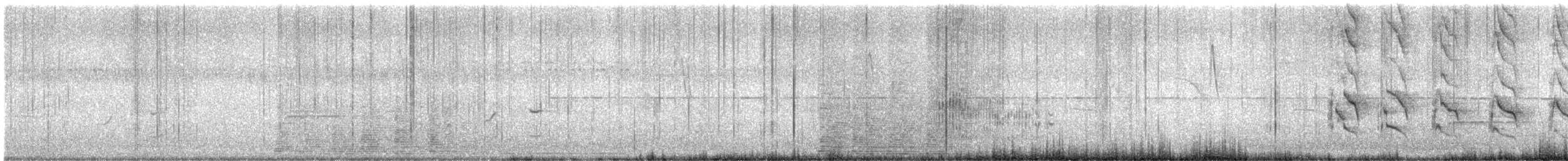 Rose-ringed Parakeet - ML644085344