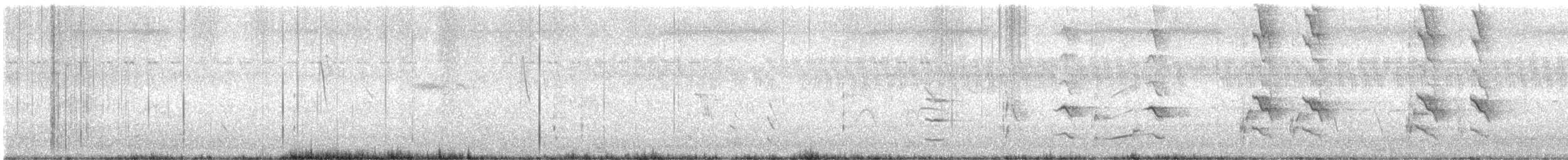 Rose-ringed Parakeet - ML644085345