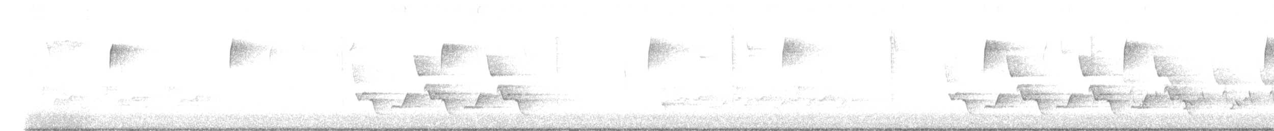 Carolina Wren - ML644088071