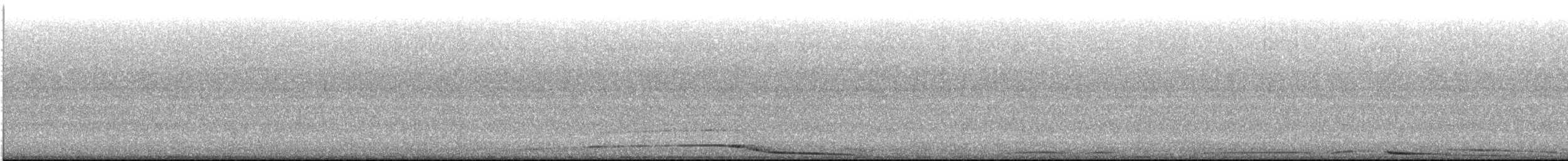 Barred Owl - ML644088583