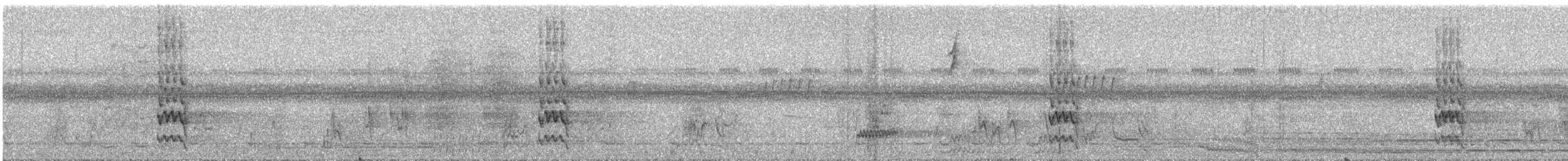 Râle noirâtre - ML644088630