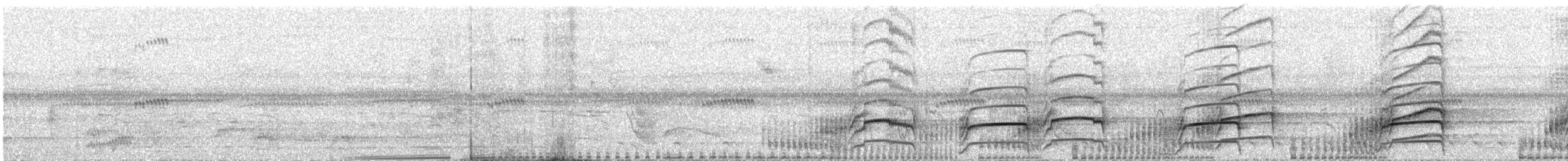 Râle noirâtre - ML644088633