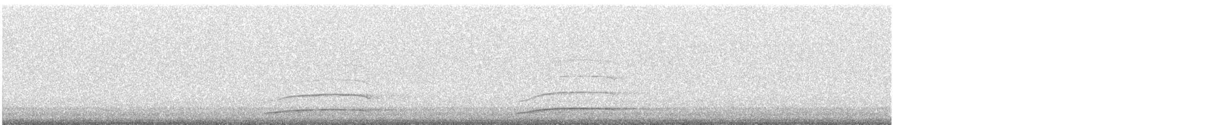 Northern Saw-whet Owl - ML644089735