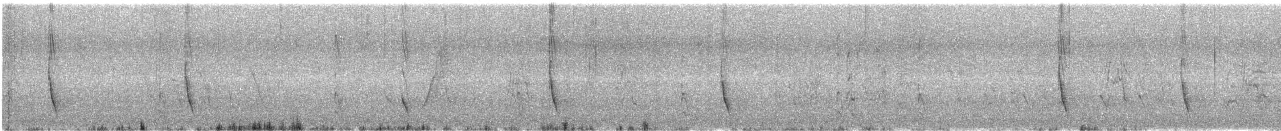 Chiguanco Thrush - ML644089875