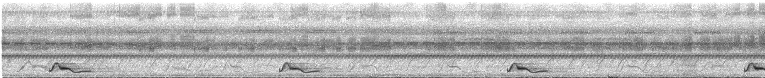 Common Pauraque - ML644089934