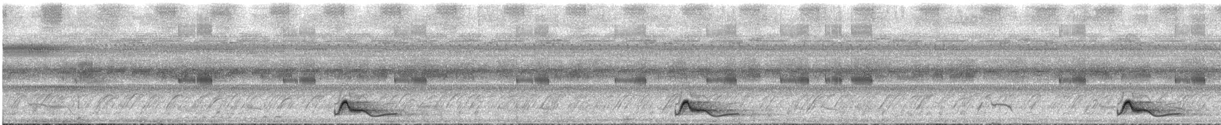 Common Pauraque - ML644090026