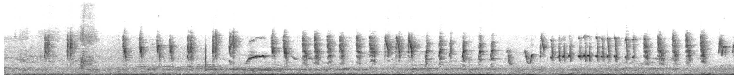 Cannaiola comune - ML644090550