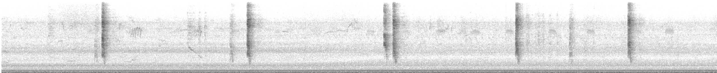 Northern Mockingbird - ML644091829