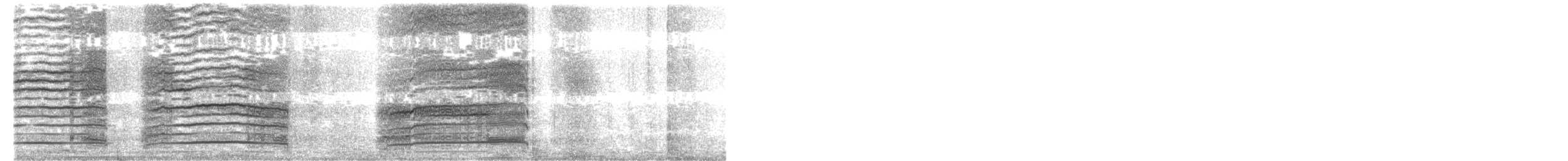 konglebit - ML644093922