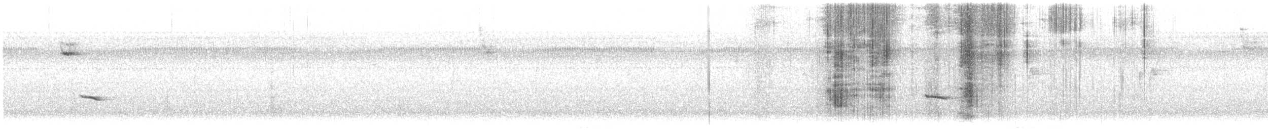 eremittskogtrost - ML644094513
