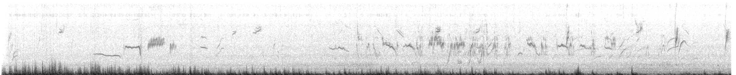 hvitkronespurv - ML644094794