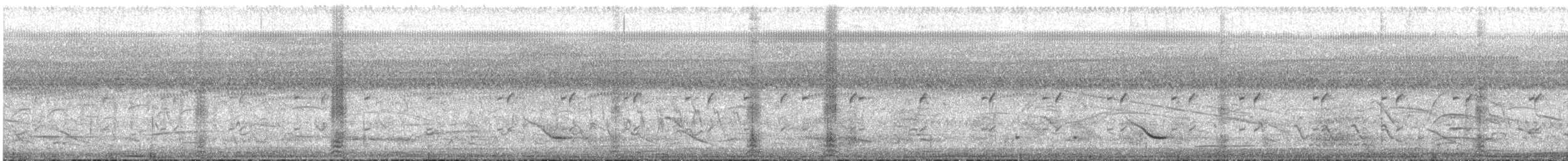 トラフサギ - ML644096938